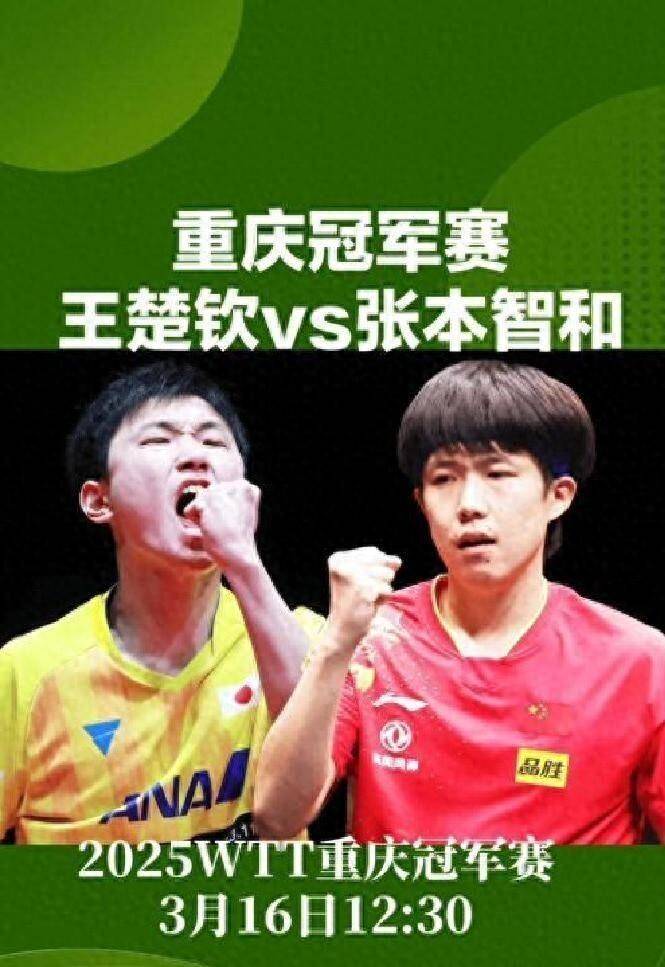 波兰队横扫英格兰队，张本智和带队取胜