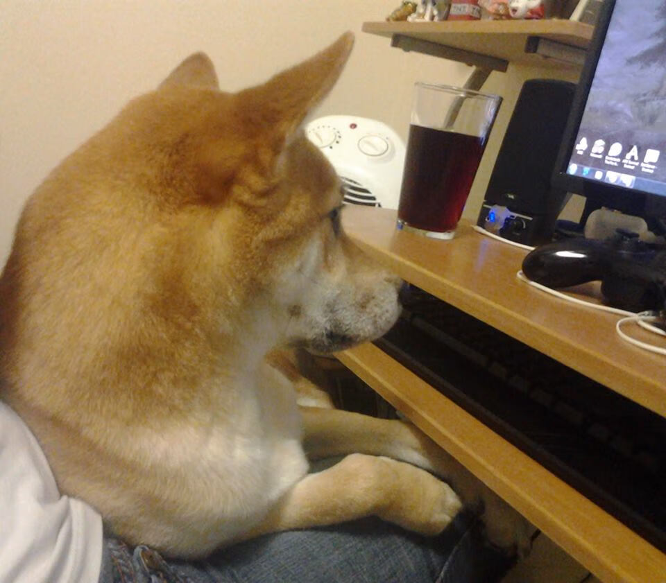 绝杀时刻,莫德里奇闪耀,勒沃库森险胜芬兰对手