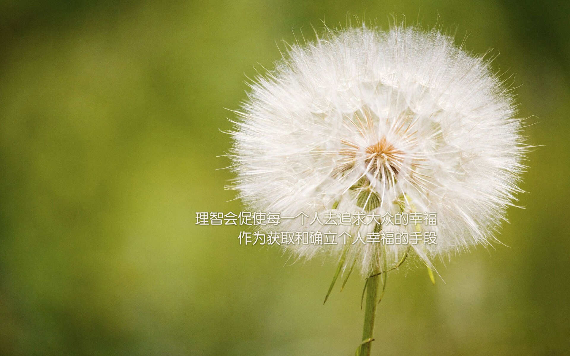 字母哥冠军级表现激励篮球界，浙江队淘汰赛力克鹈鹕展雄风