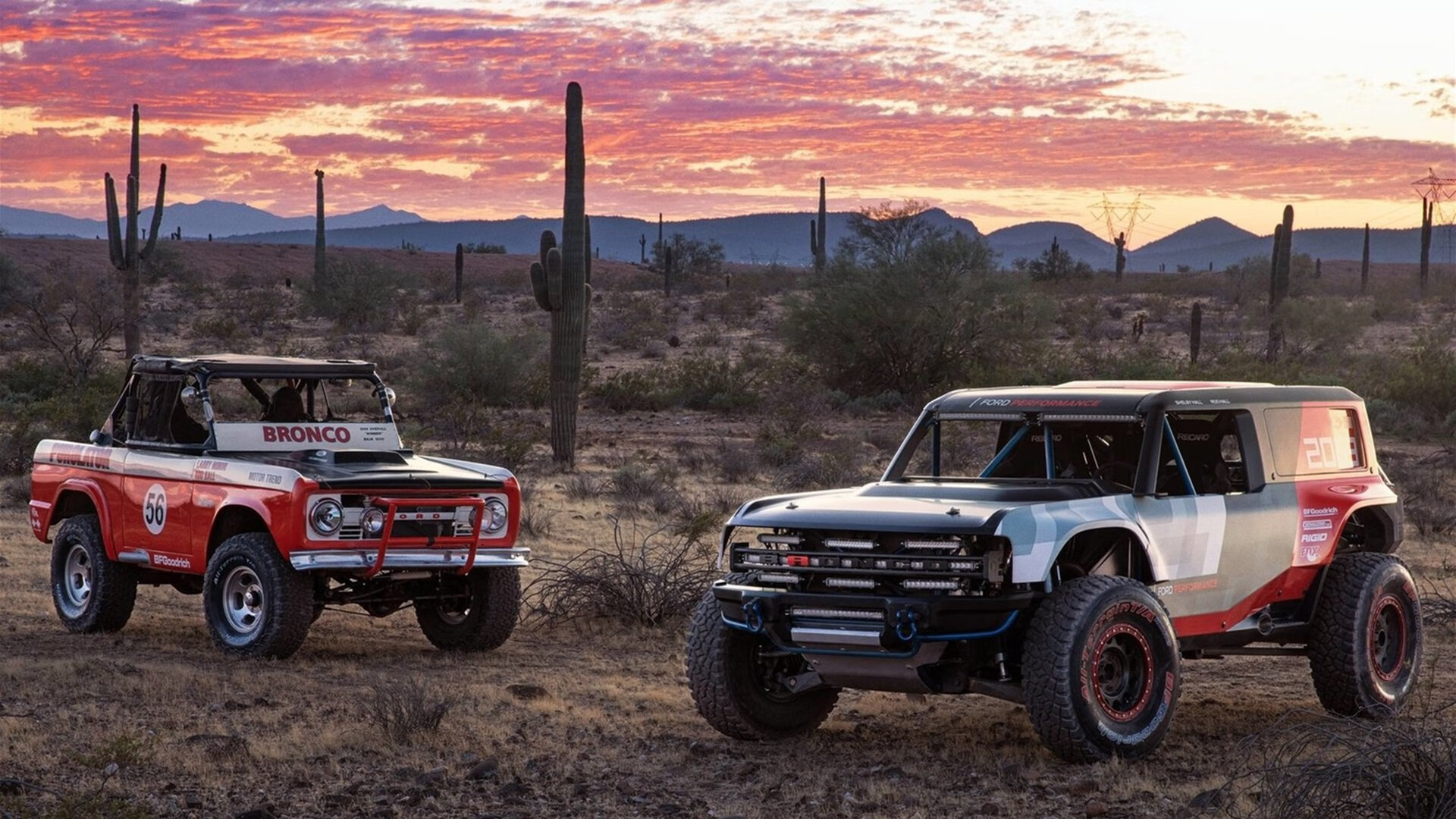斯通斯定律，当塞内加尔遇上新西兰，巨星的舞台永不设限