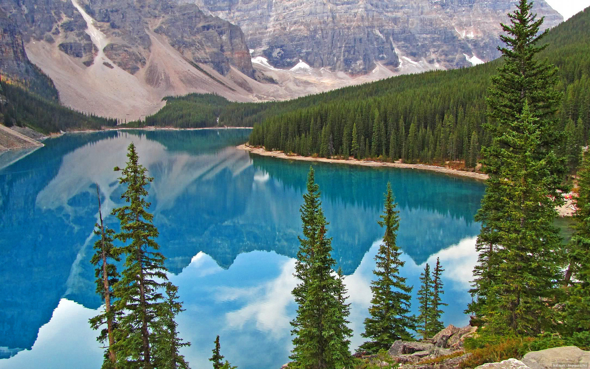 霍勒迪利刃出鞘，当猛龙防线在他面前薄如蝉翼