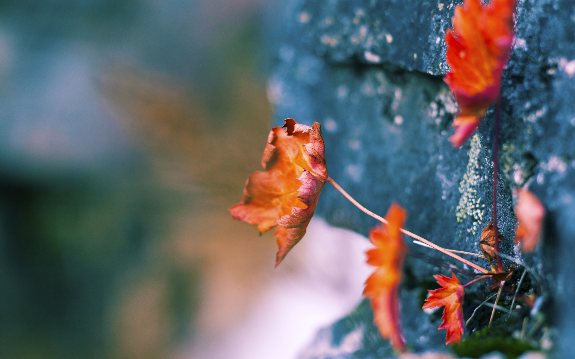 东决关键战之夜，斯通斯统治全场，带领球队迈向总决赛