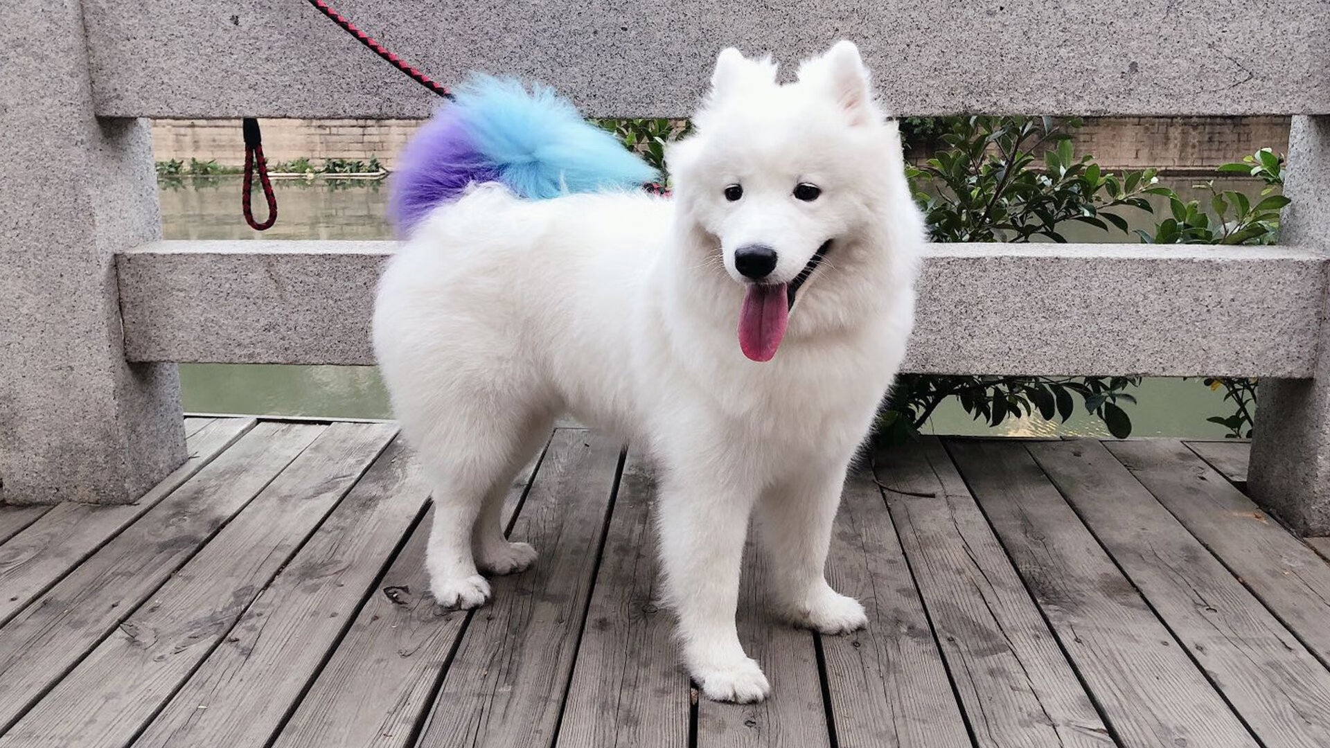 跨越球场的战书，从西决生死战到法伊足球赛的意志对决