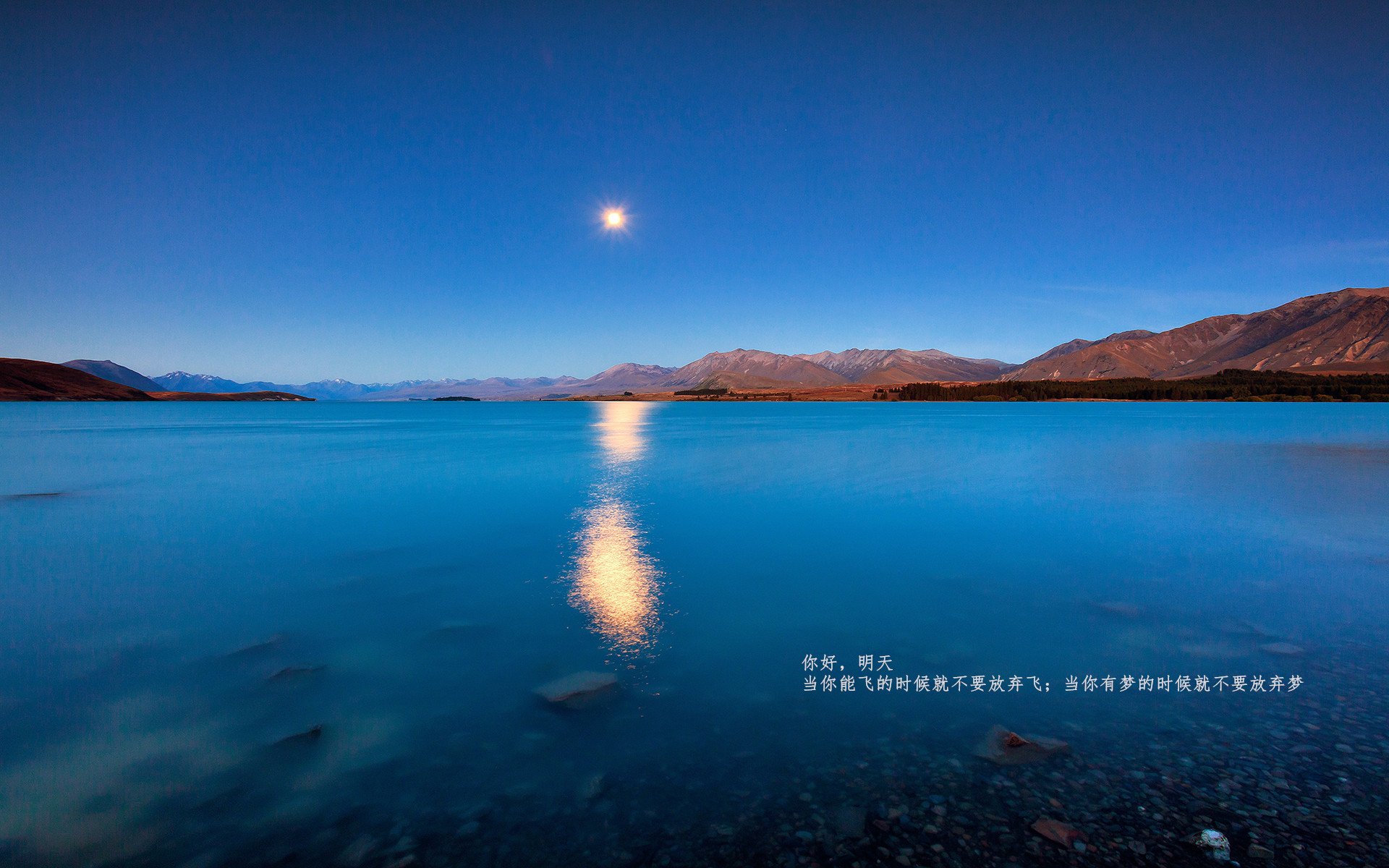 草根逆袭！总决赛黄蜂蛰落火箭，超级战舰为何轰然倾覆？