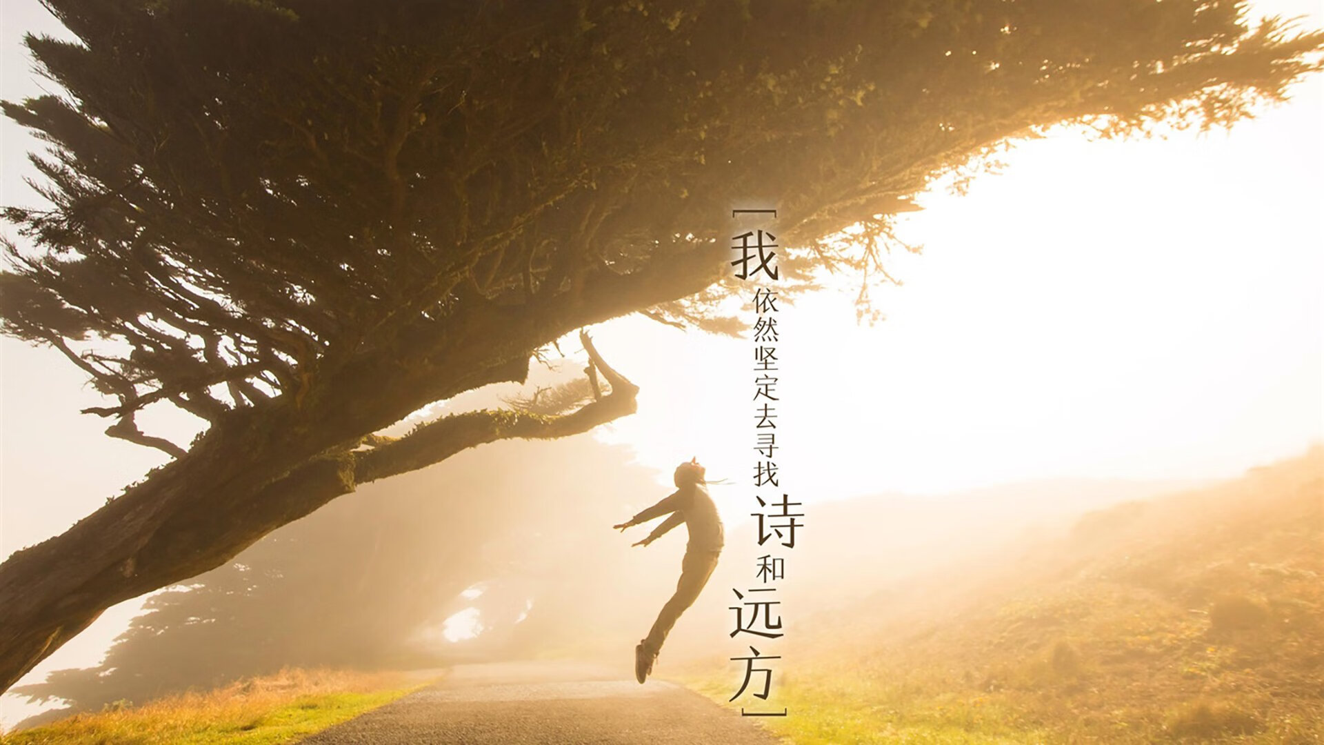 绿茵之巅,从美加墨世界杯焦点战到尤文关键突围,解读足球的战术密码与精神内核