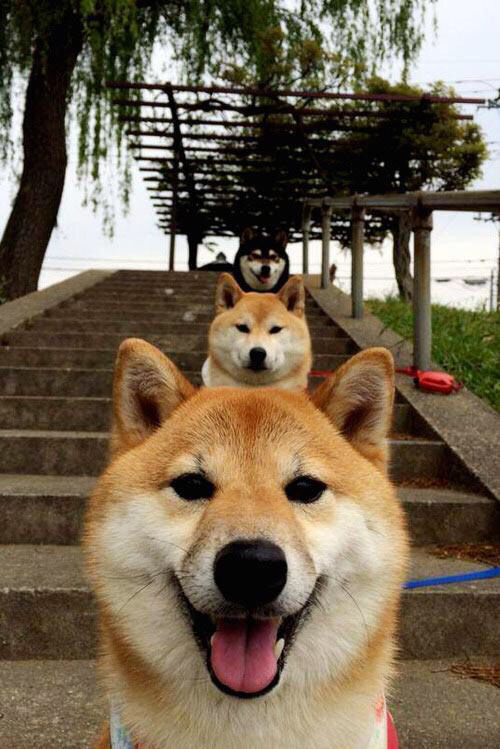 锁链与叹息，比利亚雷亚尔窒息式封锁，奥纳纳一夫当关评分拉满